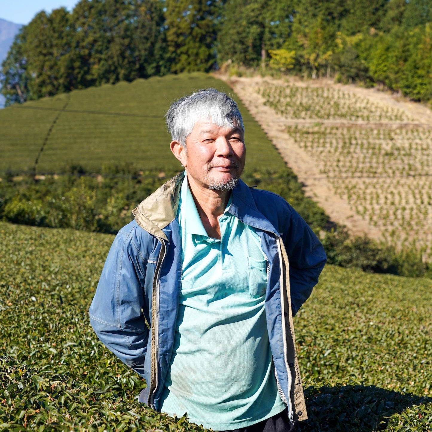 ALL GREEN | 09 静7132普通煎茶(10包)